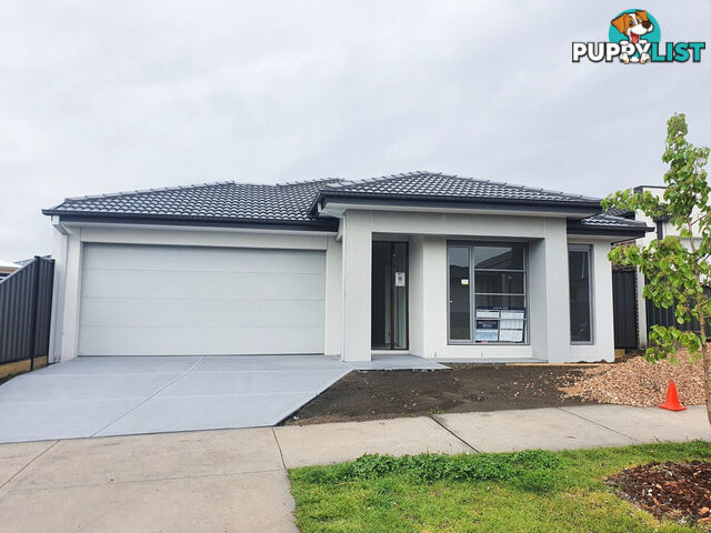 5 Igneous Road CRAIGIEBURN VIC 3064