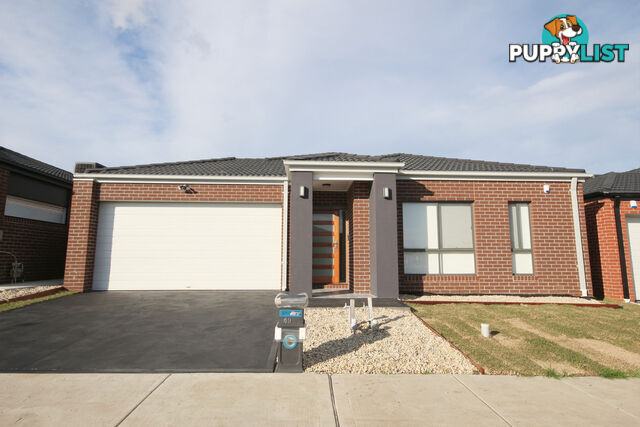 49 Coolamon Drive CRAIGIEBURN VIC 3064