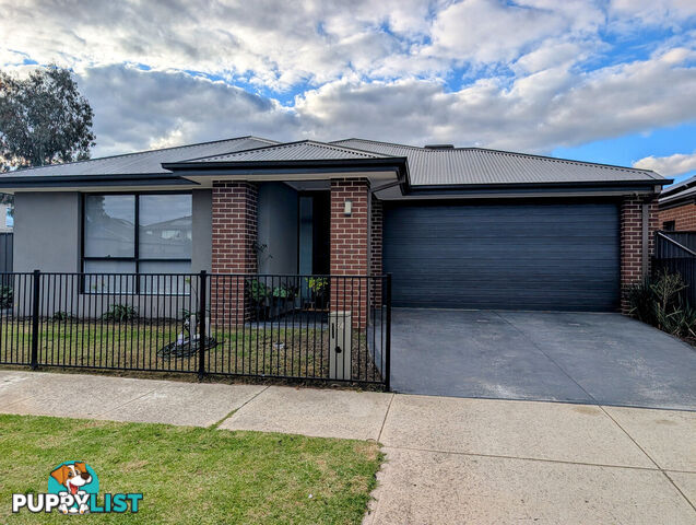 24 Whitfield Crescent CRAIGIEBURN VIC 3064