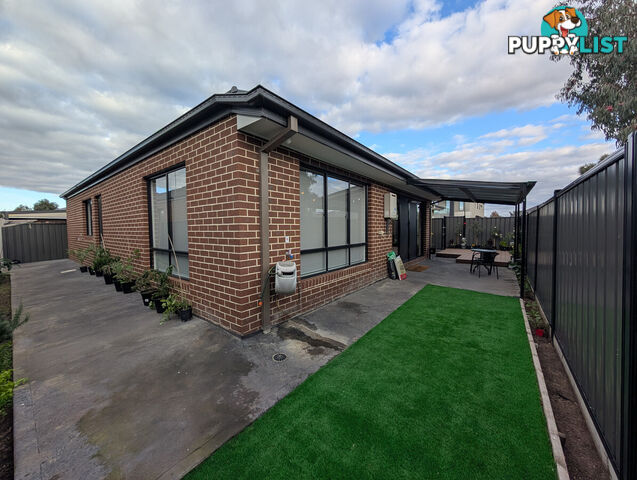 24 Whitfield Crescent CRAIGIEBURN VIC 3064