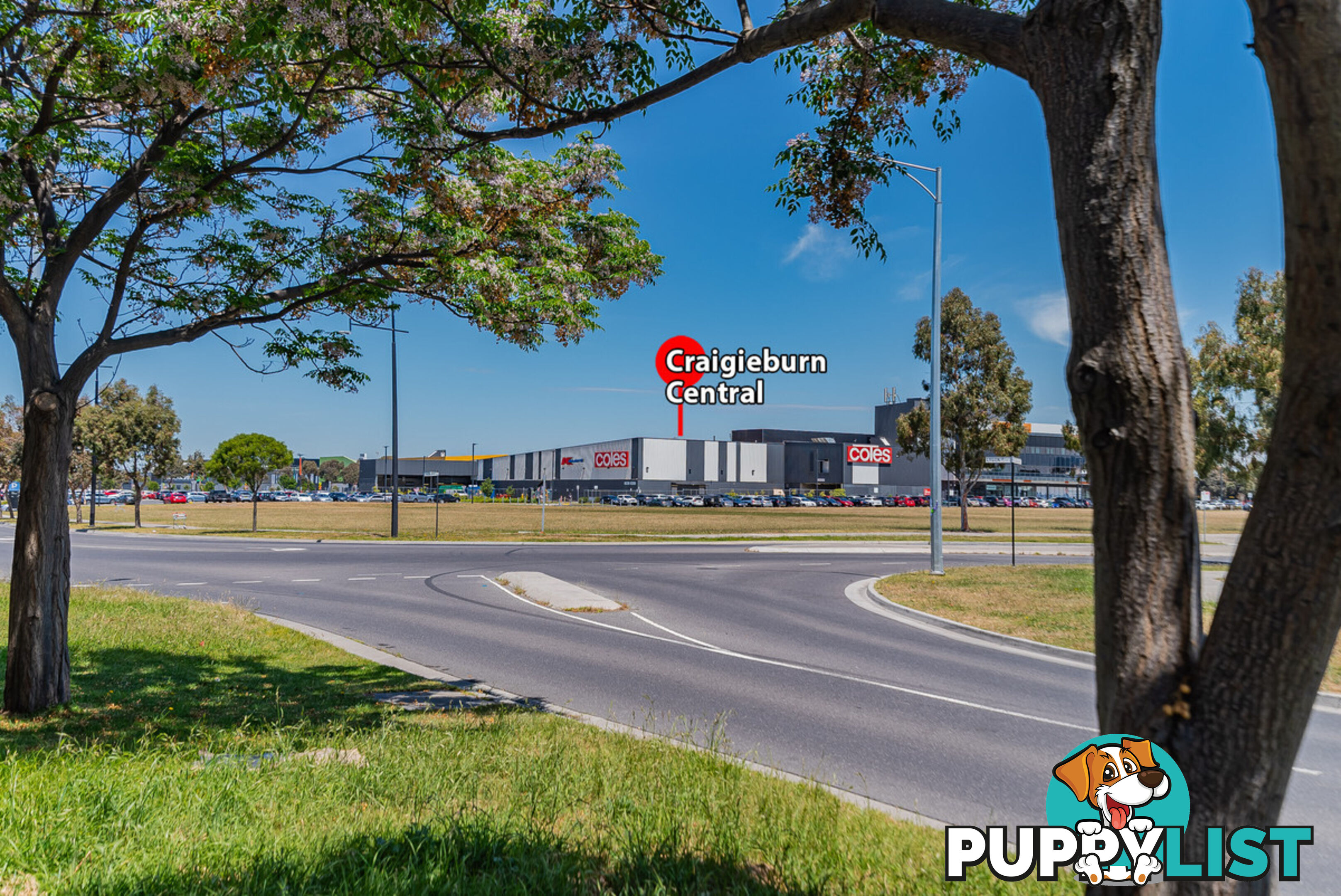 63 Clarendon Avenue CRAIGIEBURN VIC 3064