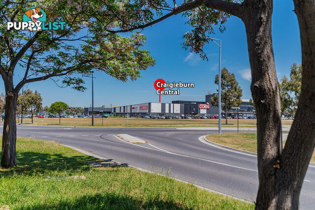 63 Clarendon Avenue CRAIGIEBURN VIC 3064