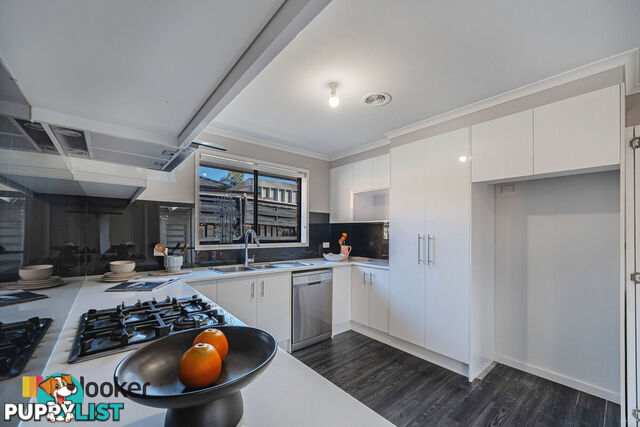 6 Gillingham Crescent CRAIGIEBURN VIC 3064