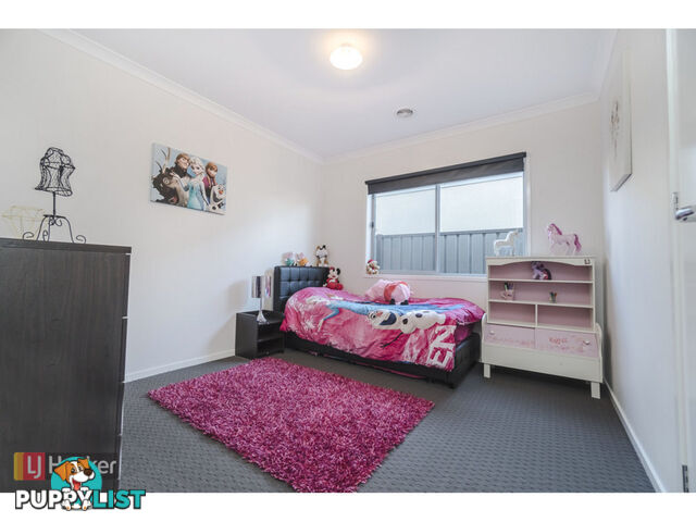 18 Black Wattle Road CRAIGIEBURN VIC 3064