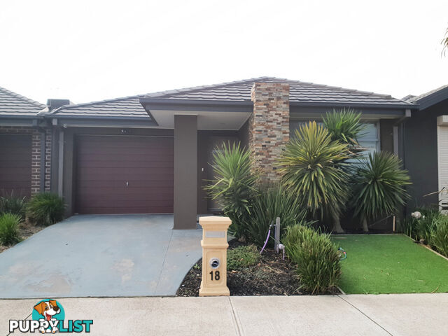 18 Rainham Avenue CRAIGIEBURN VIC 3064