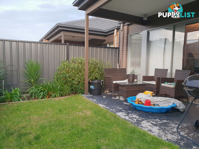 18 Rainham Avenue CRAIGIEBURN VIC 3064