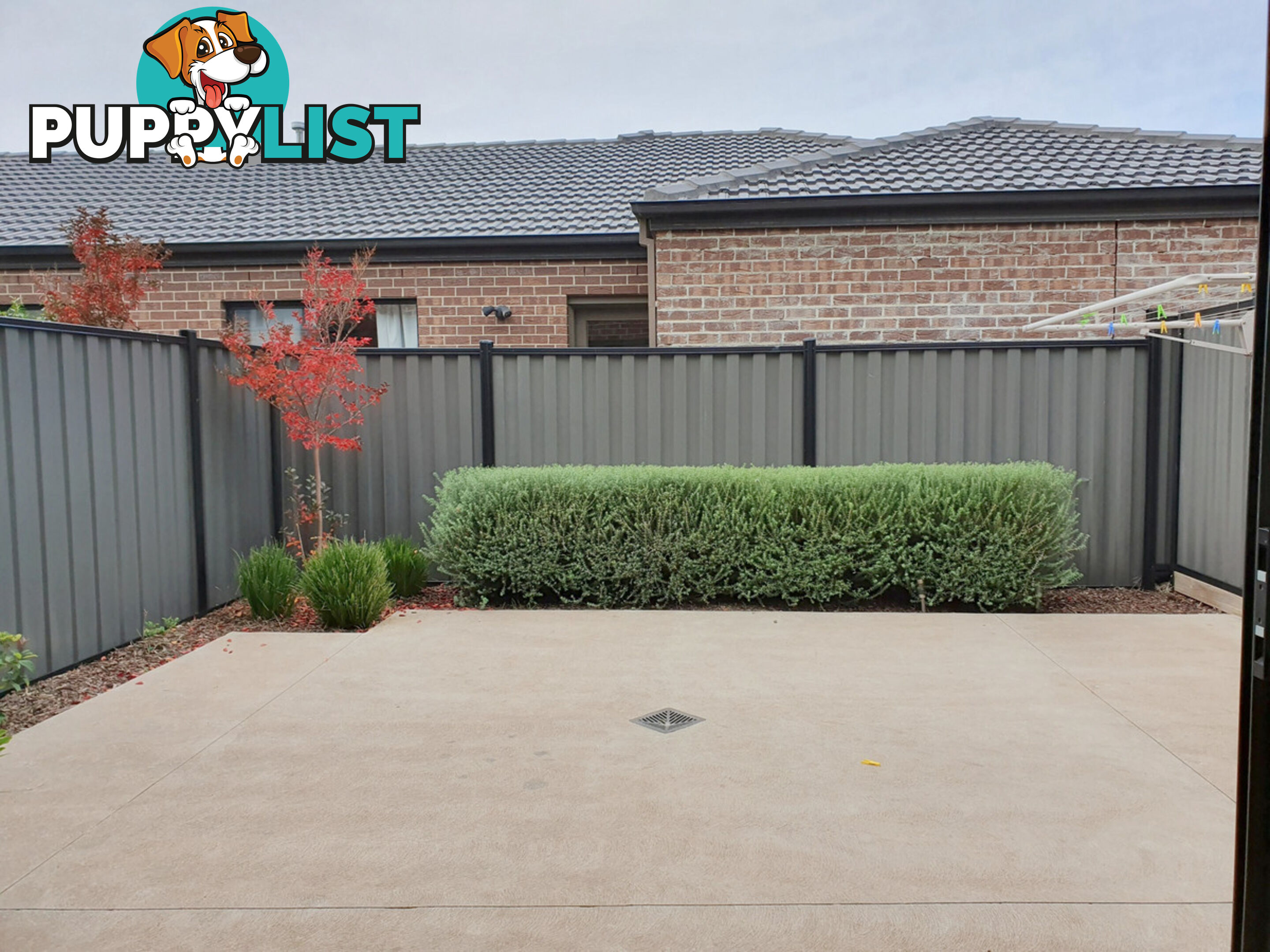 12 Ardour Grove CRAIGIEBURN VIC 3064