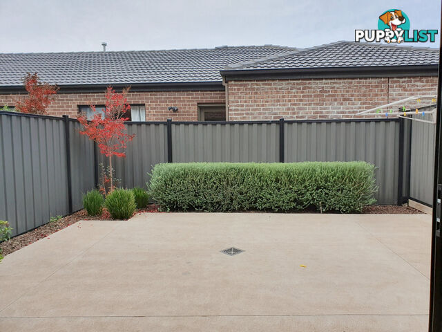 12 Ardour Grove CRAIGIEBURN VIC 3064