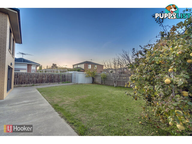 13 Bentley Avenue ROXBURGH PARK VIC 3064