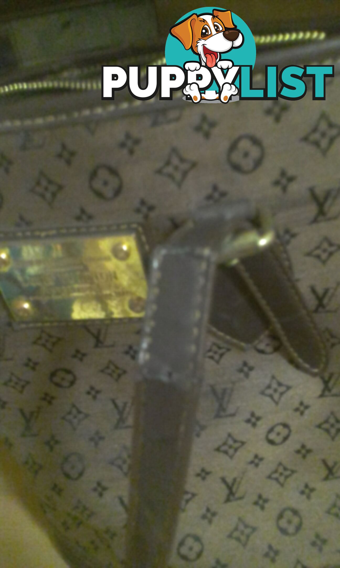 Lois Vuitton hand band...$30ono