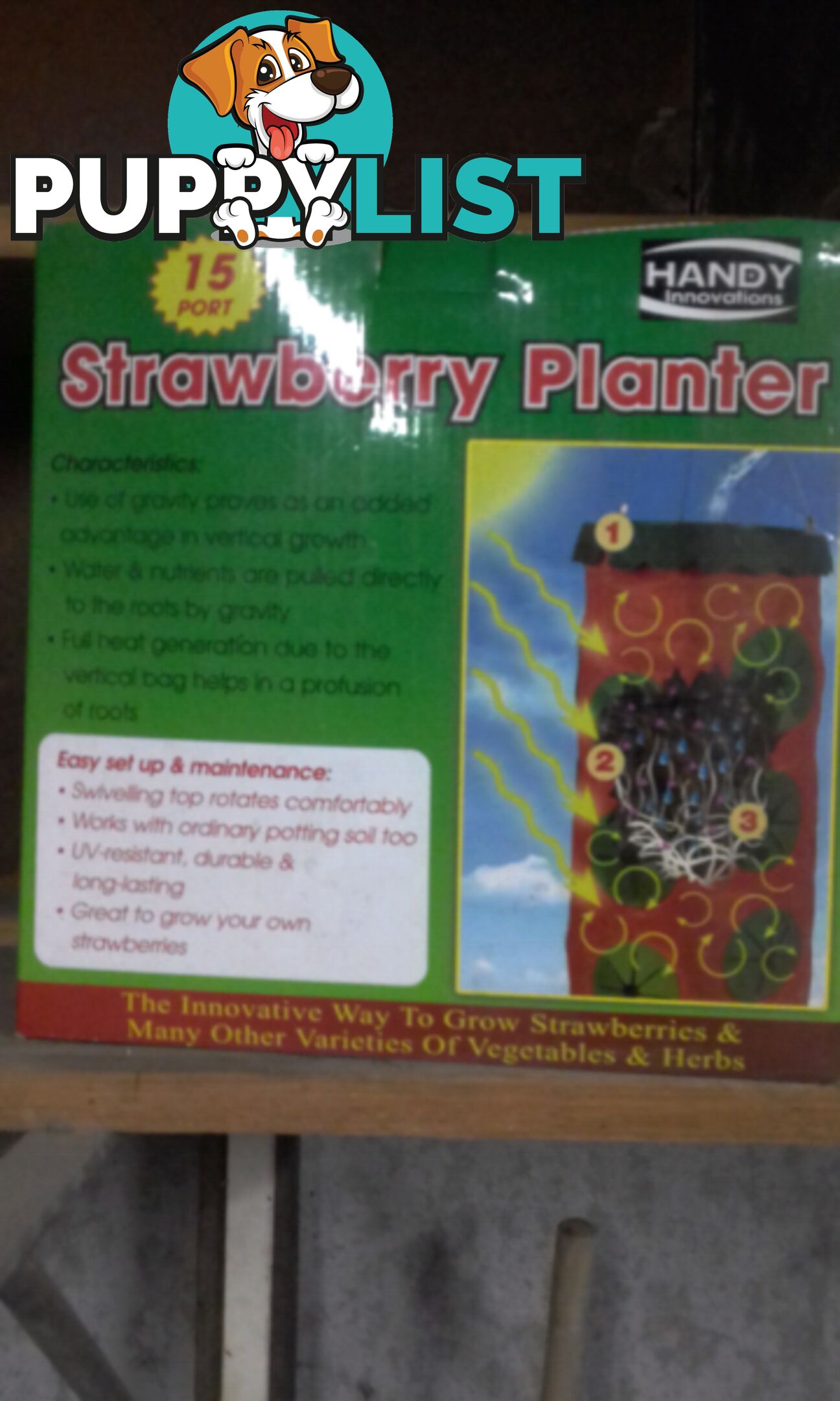 Strawberry planter brand