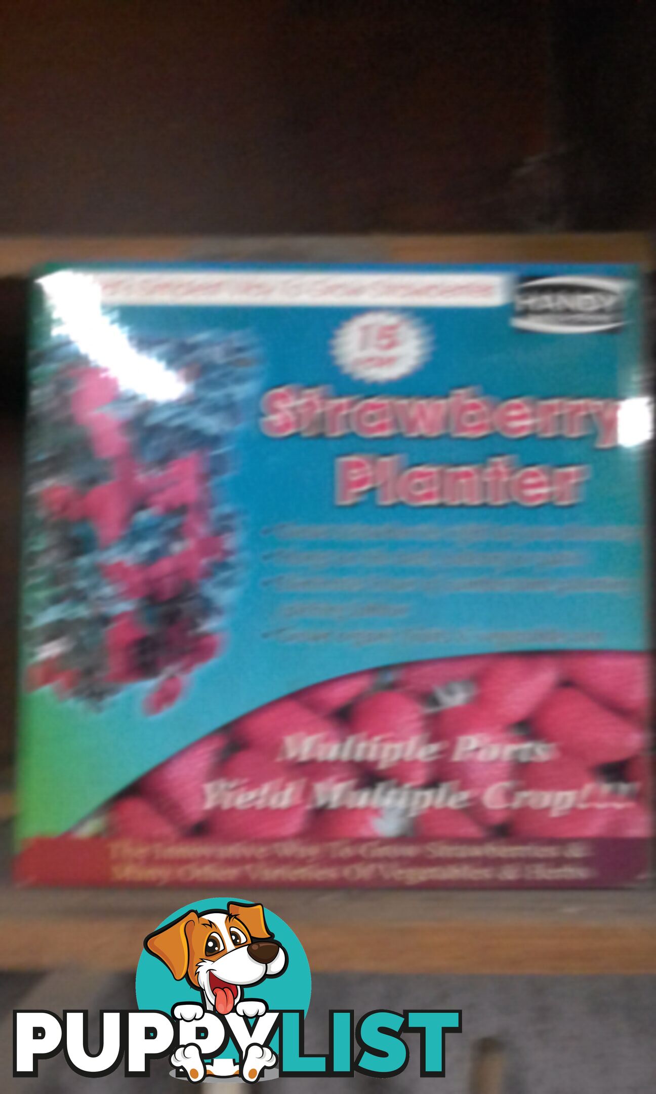 Strawberry planter brand