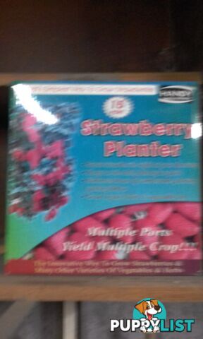 Strawberry planter brand