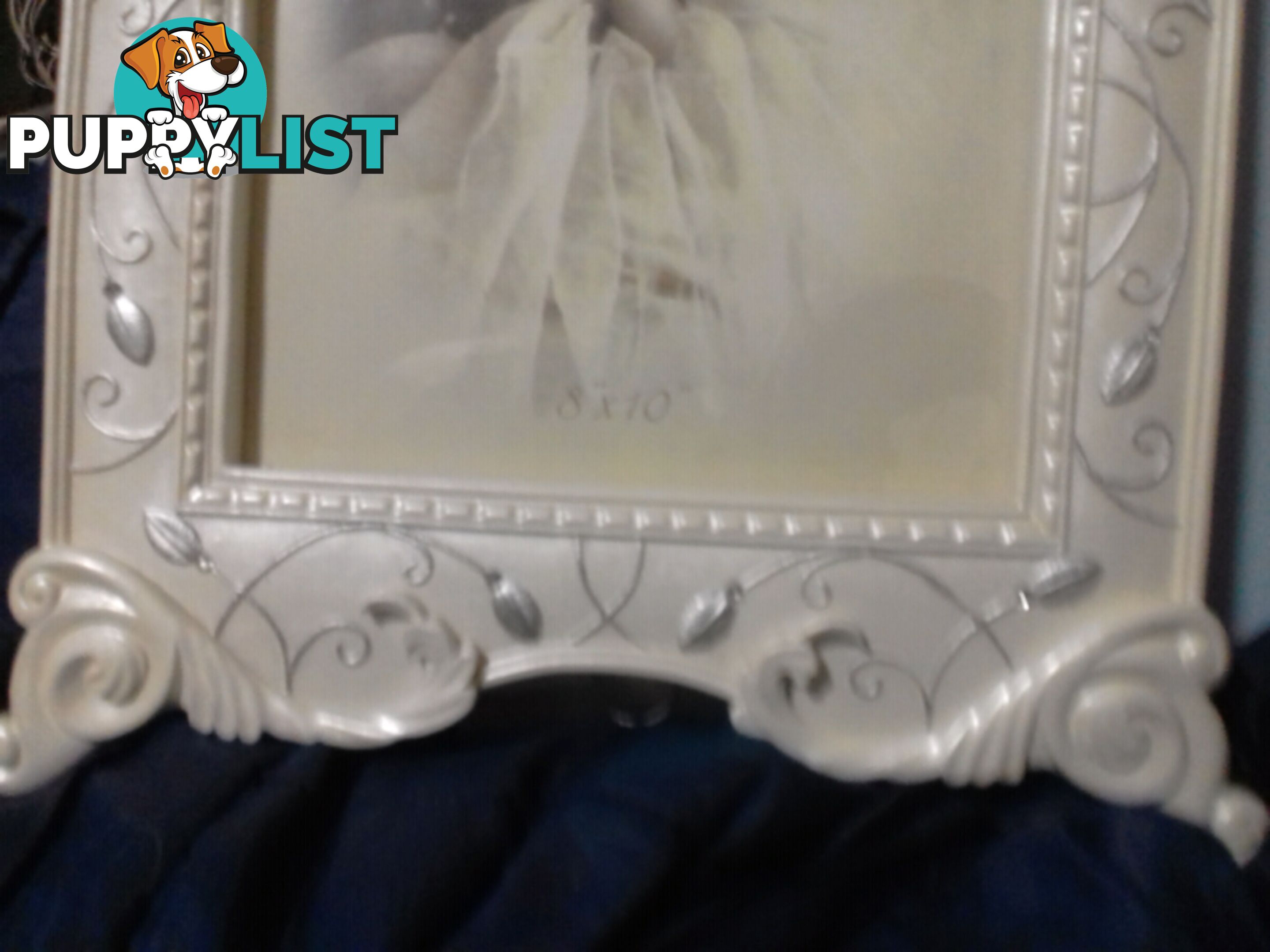 Photo frame 30cmx40cm BRAND NEW wedding gift unopened $35ono