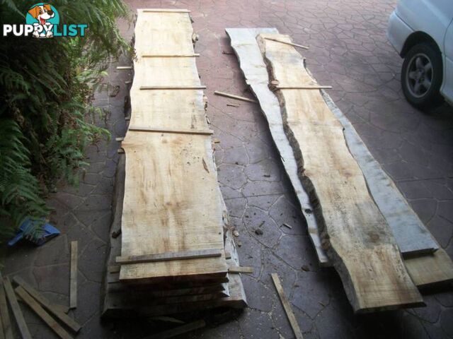 NORFOLK ISLAND PINE TIMBER SLABS - 2.4 to 3.8 mtrs x 40cm-80cm