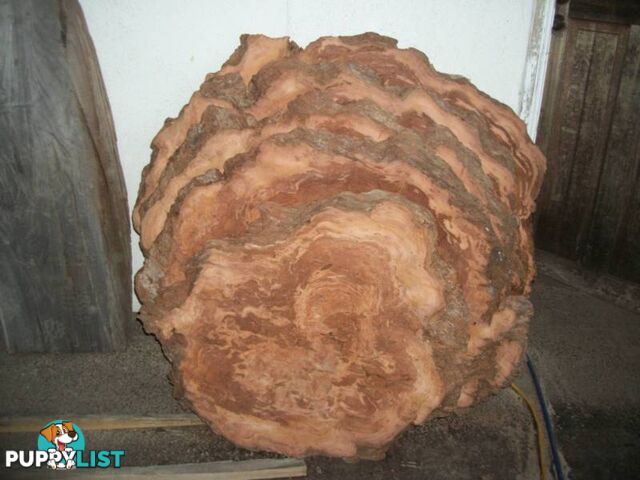 HARDWOOD TIMBER BURL SLABS