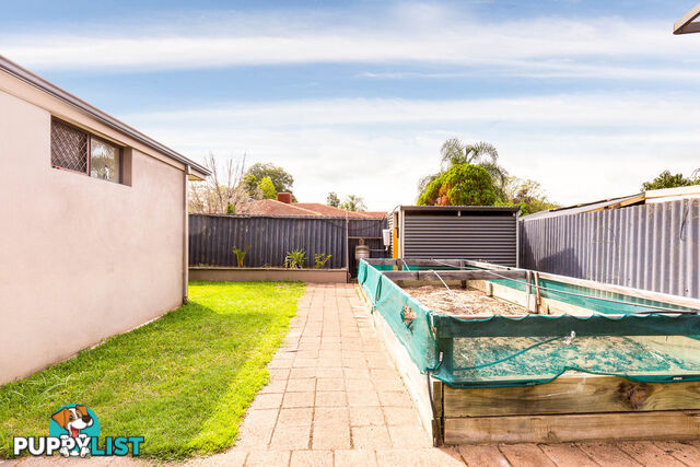 3 Bicheno Way WILLETTON WA 6155