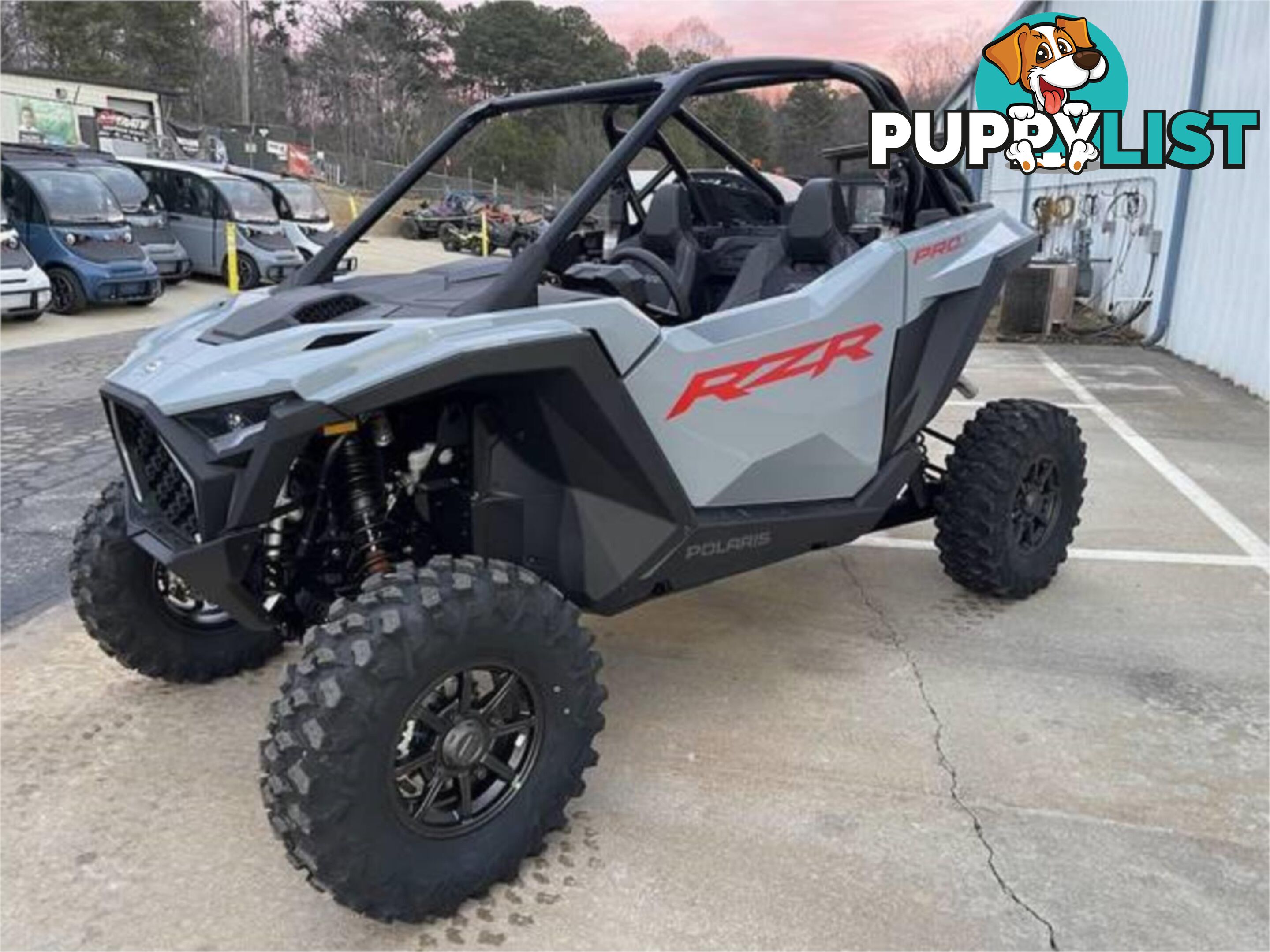 2025 POLARIS RZR PRO S 