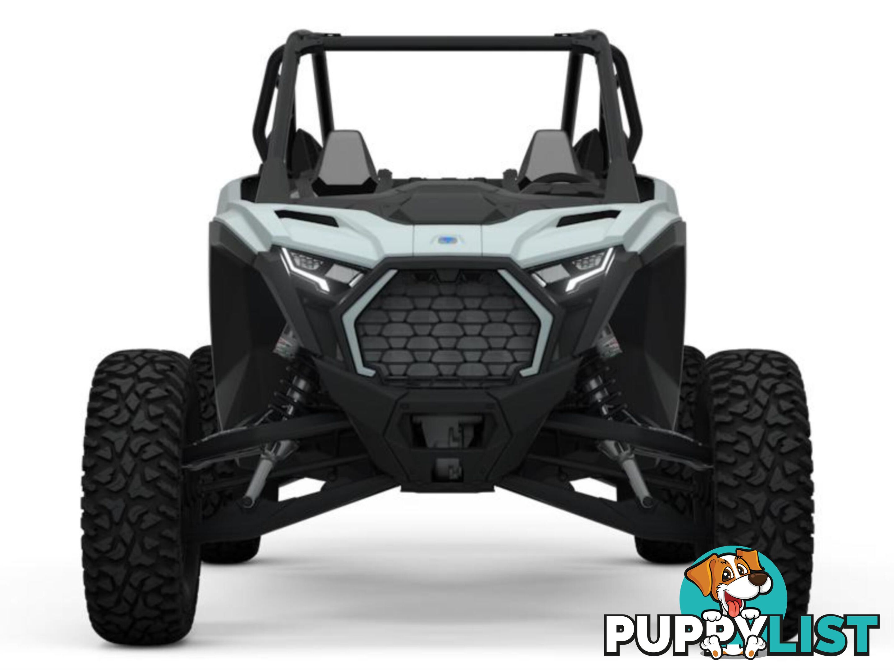 2025 POLARIS RZR PRO S 