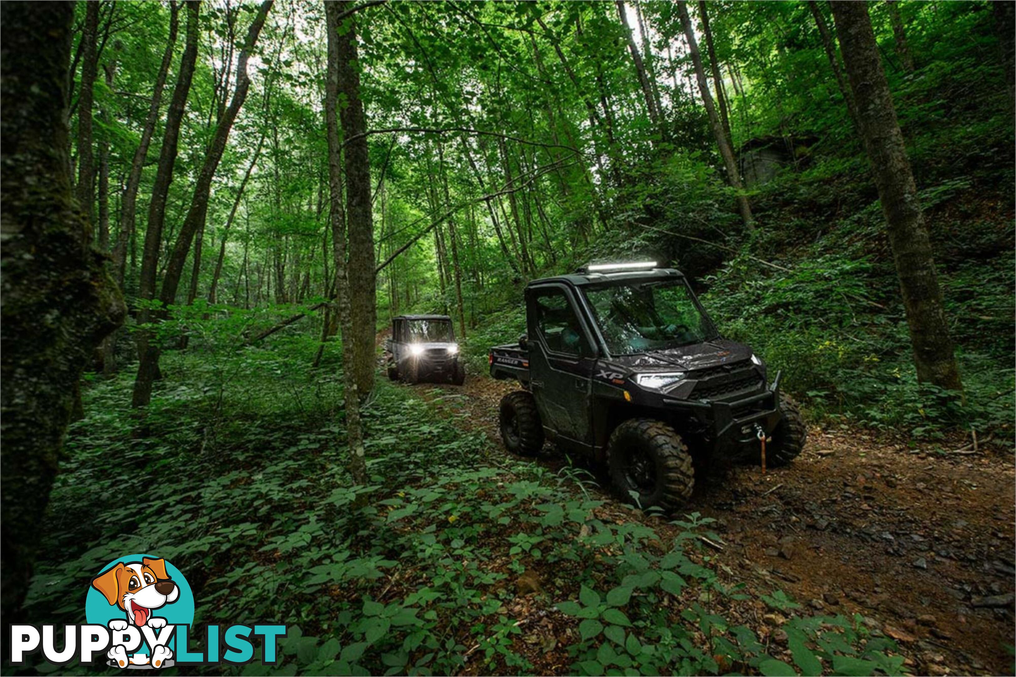 2024 POLARIS RANGER XP 1000 ATV