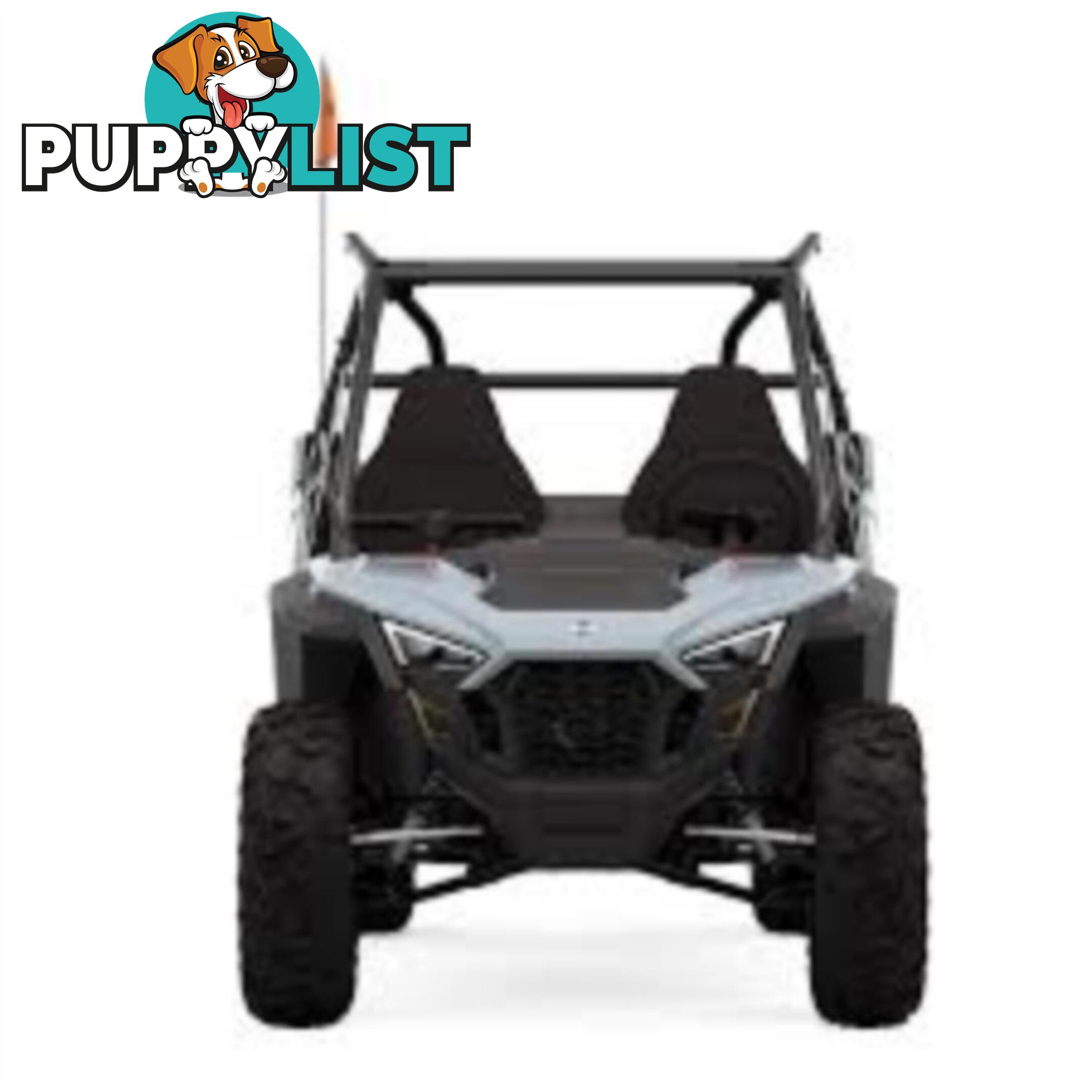 2024 POLARIS RZR 200 EFI ATV