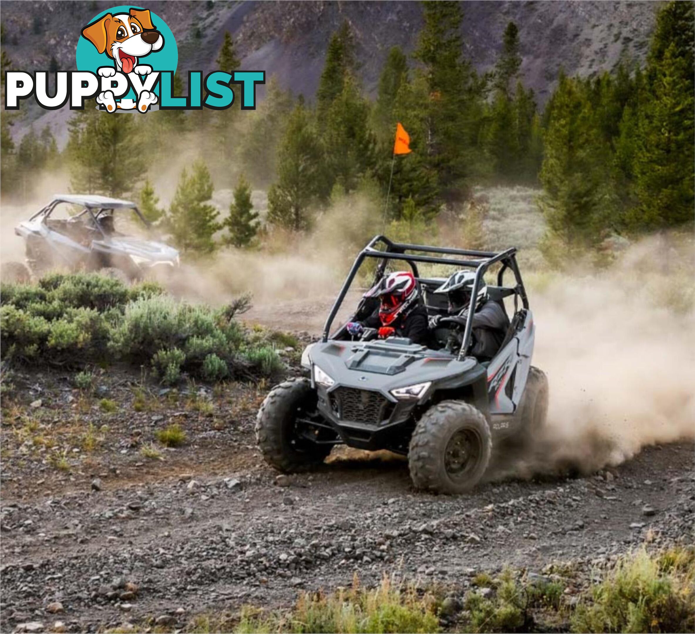 2024 POLARIS RZR 200 EFI ATV