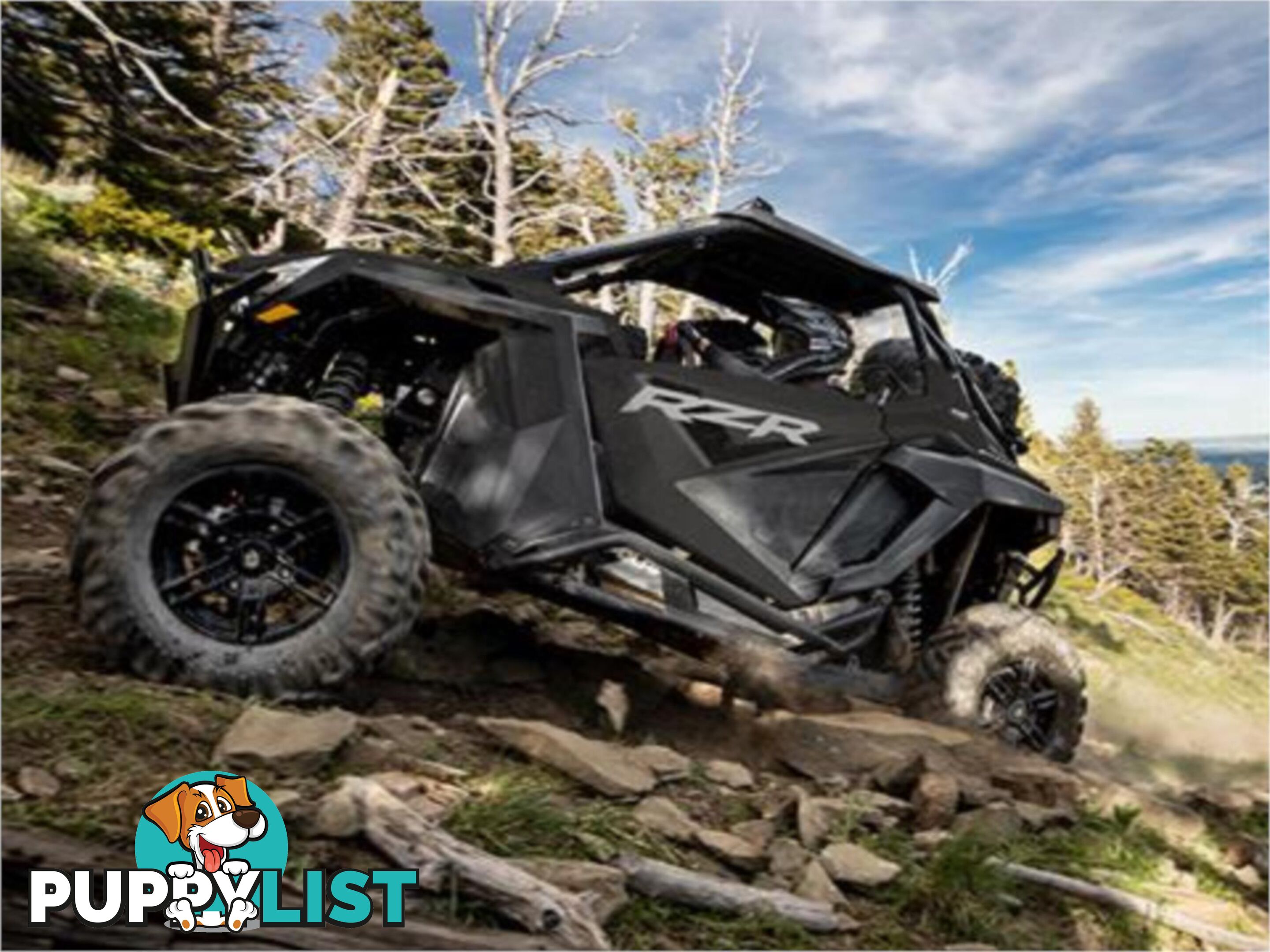 2024 POLARIS RZR PRO XP SATV