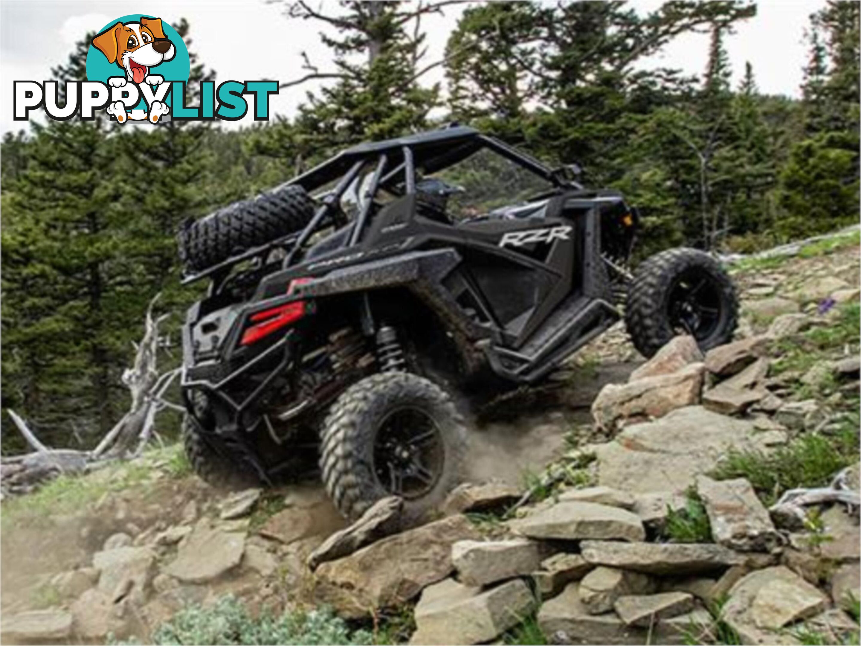 2024 POLARIS RZR PRO XP SATV
