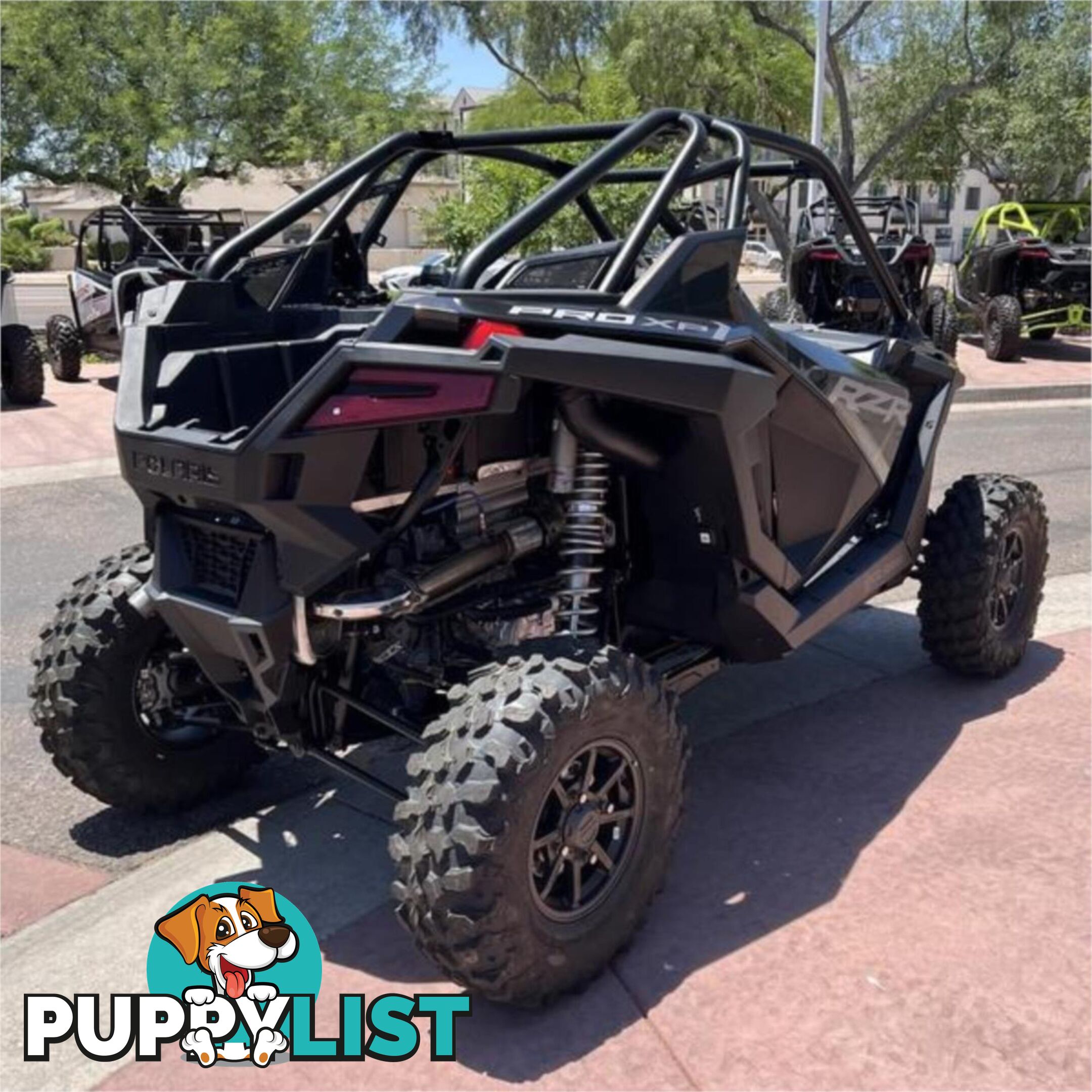 2024 POLARIS RZR PRO XP SATV