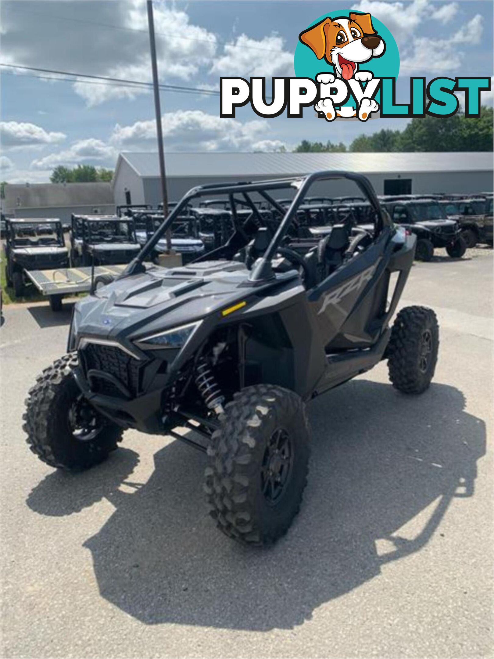 2024 POLARIS RZR PRO XP SATV
