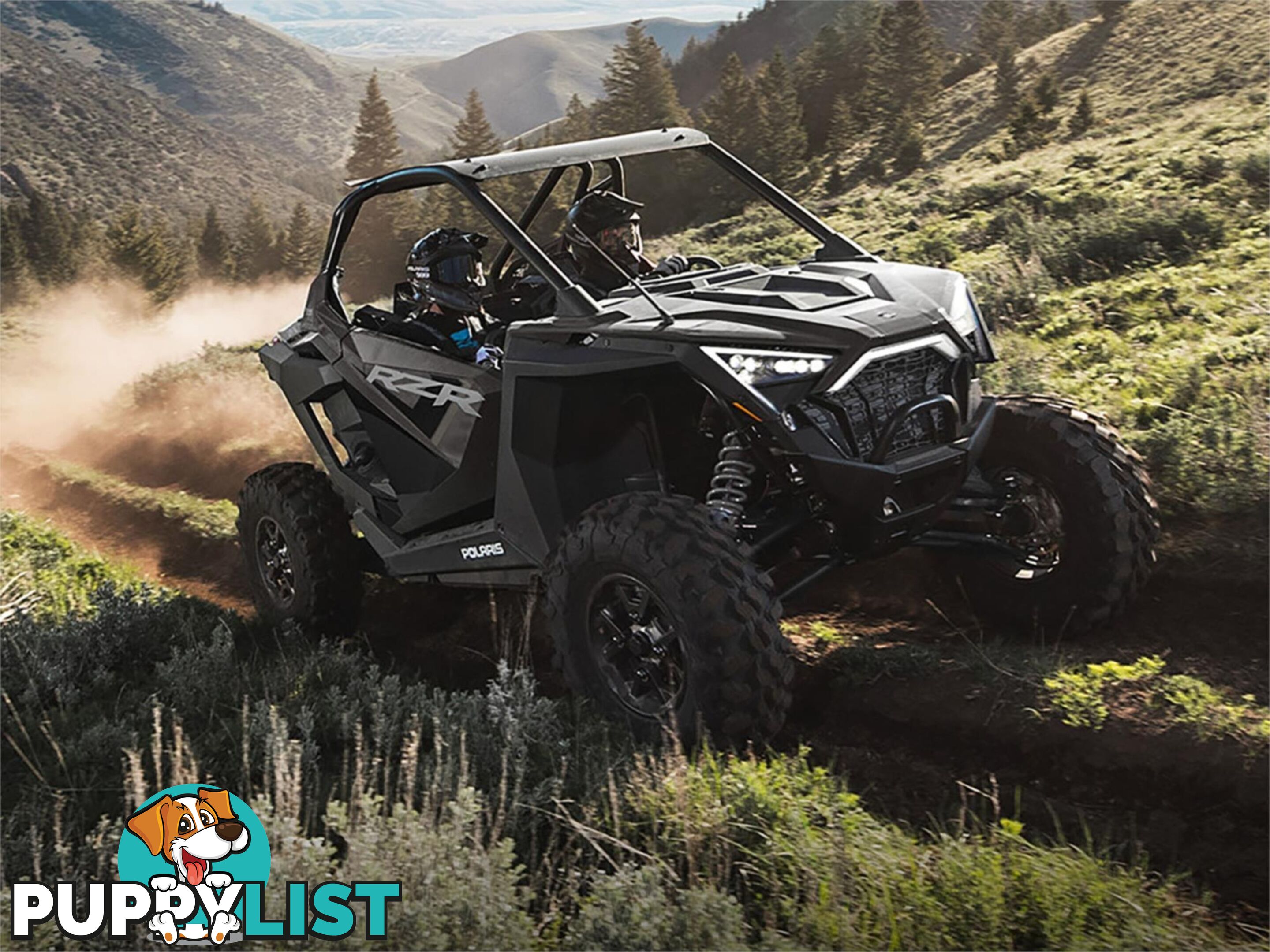 2024 POLARIS RZR PRO XP SATV