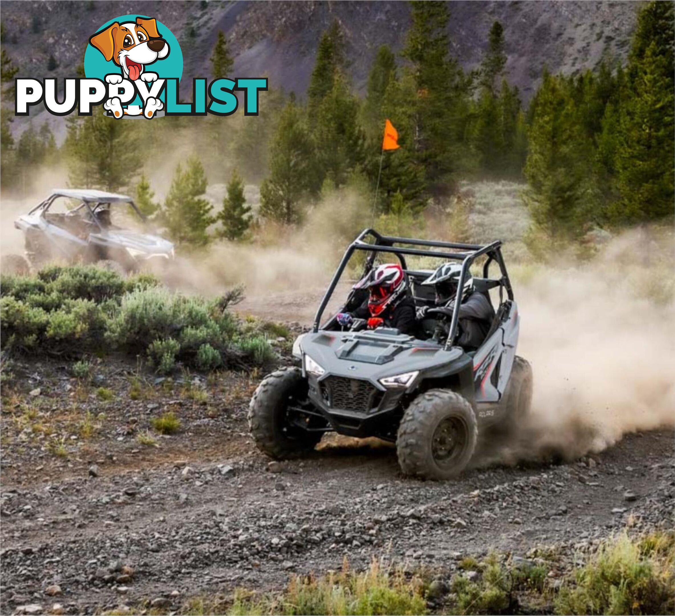 2024 POLARIS RZR 200 EFI ATV