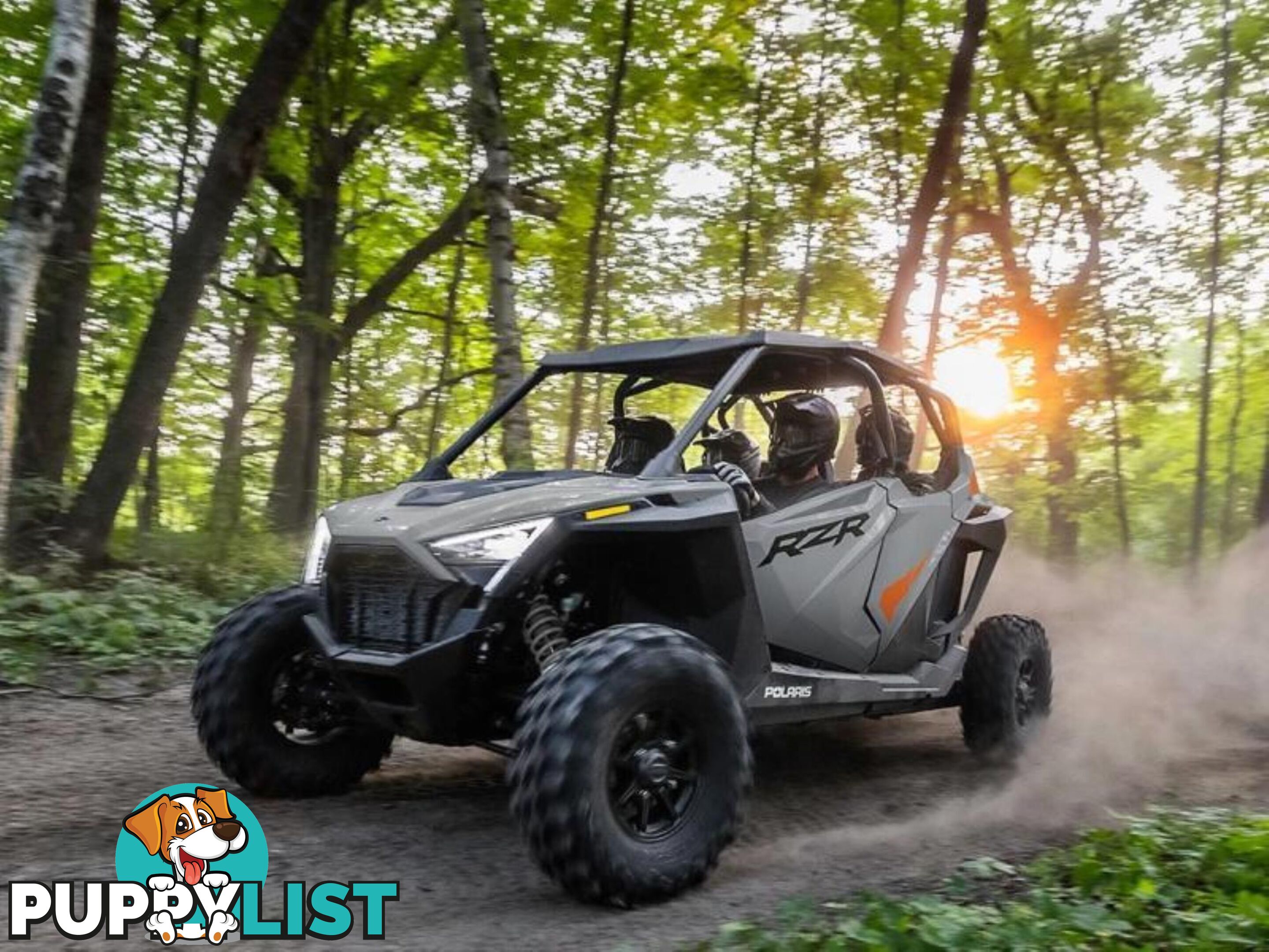 2023 POLARIS RZRPROXPSPORT  RZR SATV