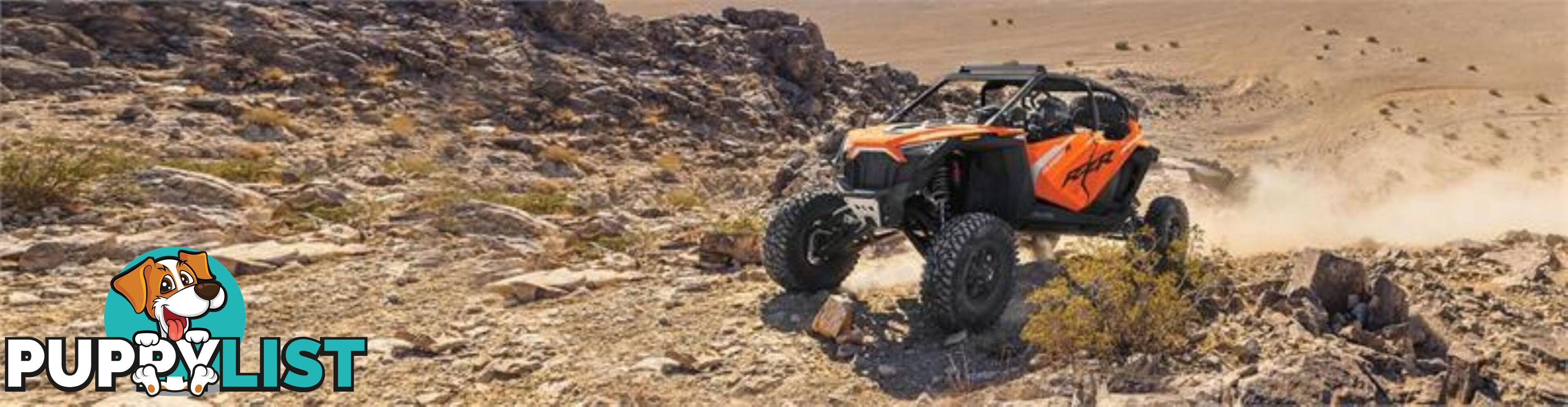 2023 POLARIS RZRTURBOR4ULTIMATE  RZR SATV