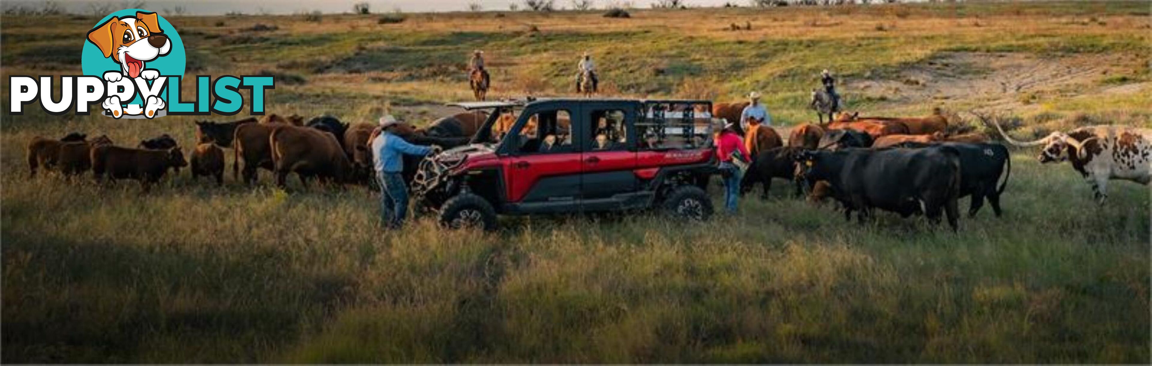 2024 POLARIS RANGER CREW XD ATV