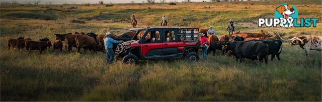 2024 POLARIS RANGER CREW XD ATV