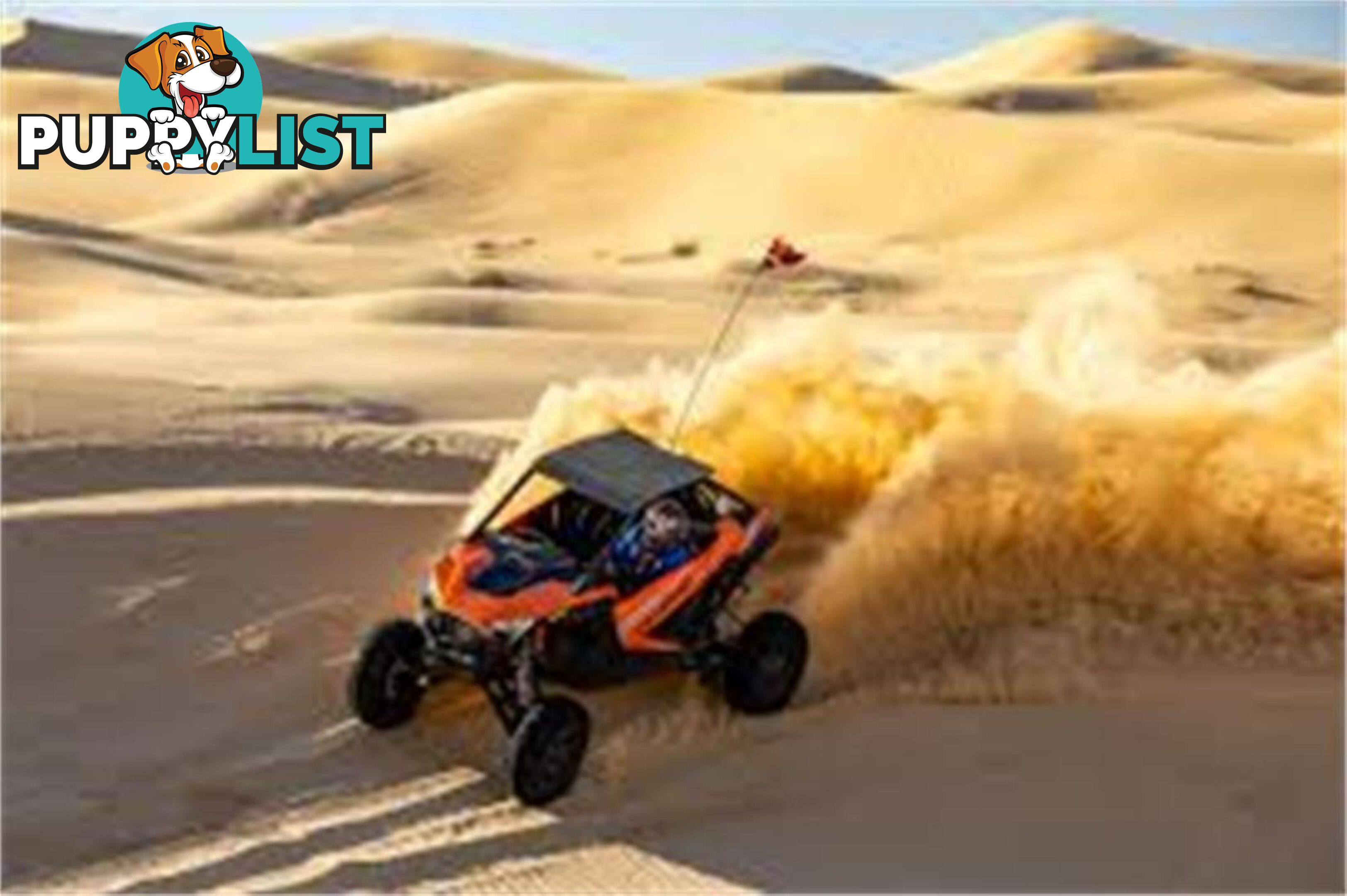 2023 POLARIS RZRTURBORULTIMATE  RZR SATV