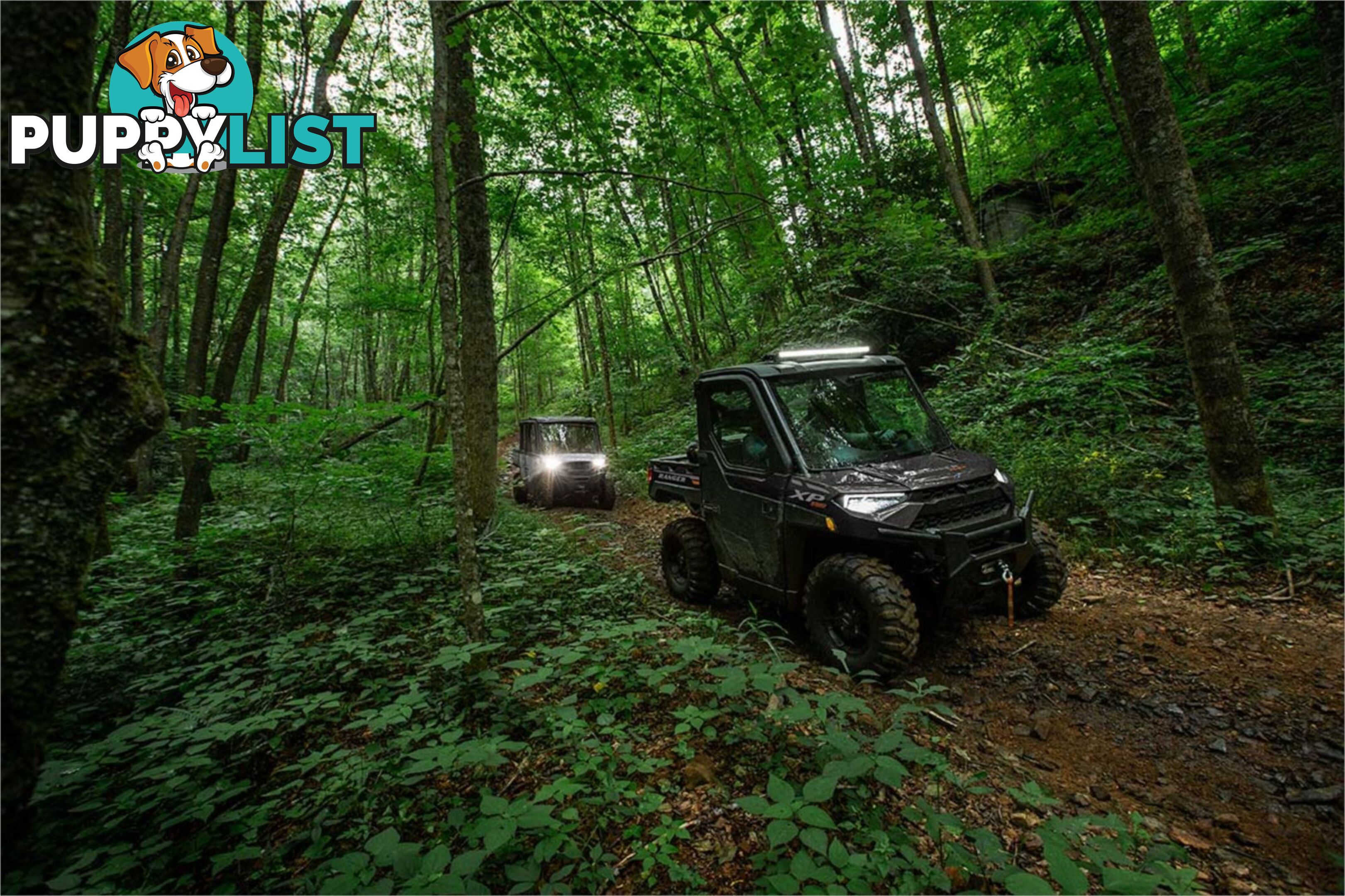 2024 POLARIS RANGER XP 1000 ATV