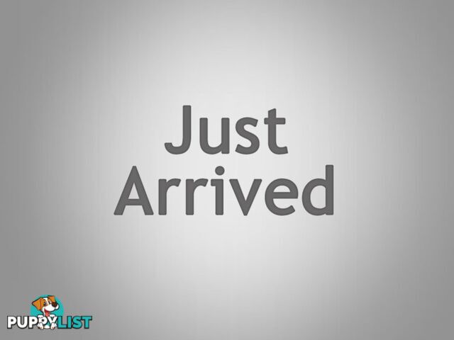 2005 HONDA JAZZ HATCHBACK GLI HATCHBACK