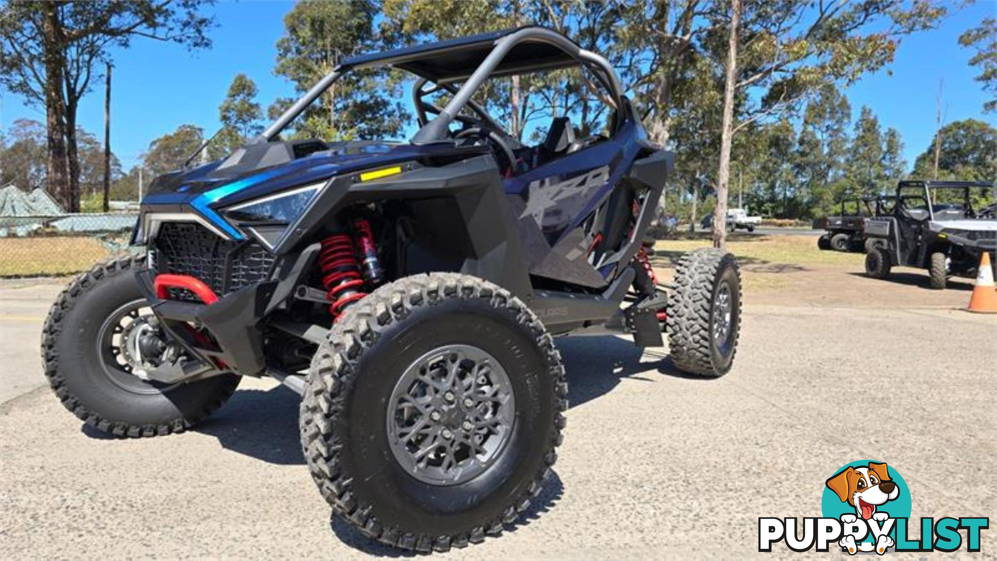 2023 POLARIS RZR PRO R SATV