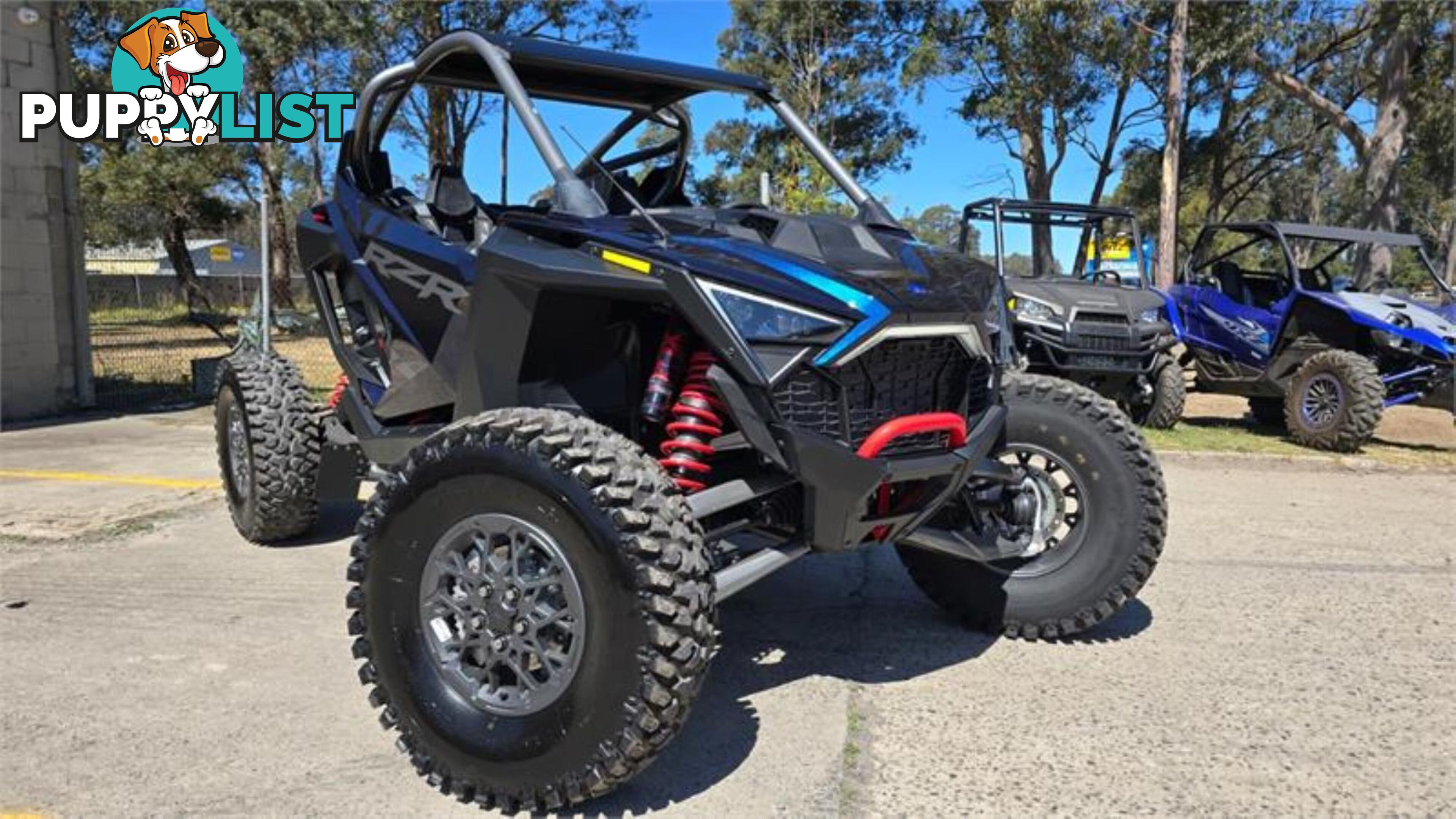 2023 POLARIS RZR PRO R SATV