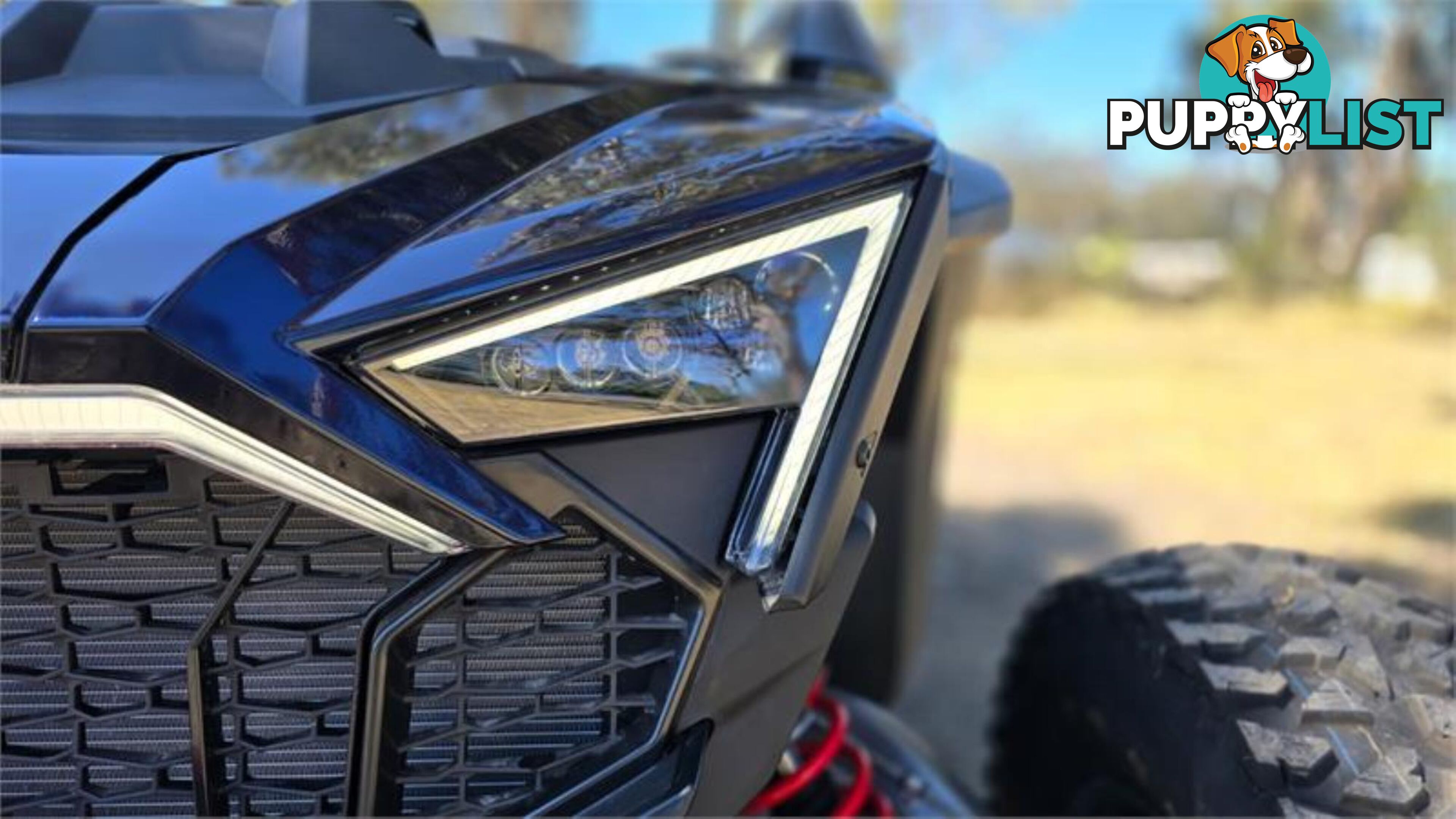 2023 POLARIS RZR PRO R SATV