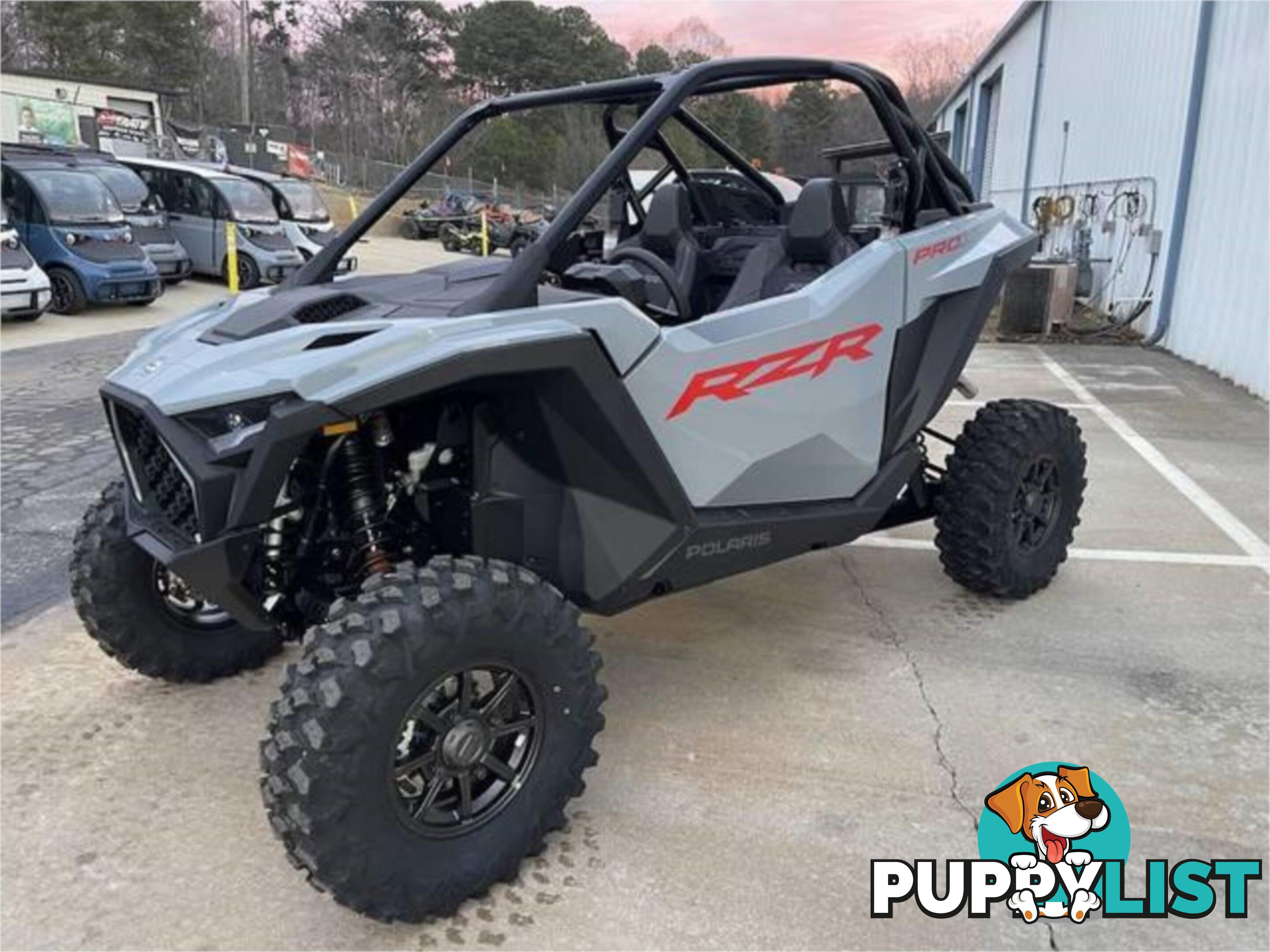 2025 POLARIS RZR PRO S 