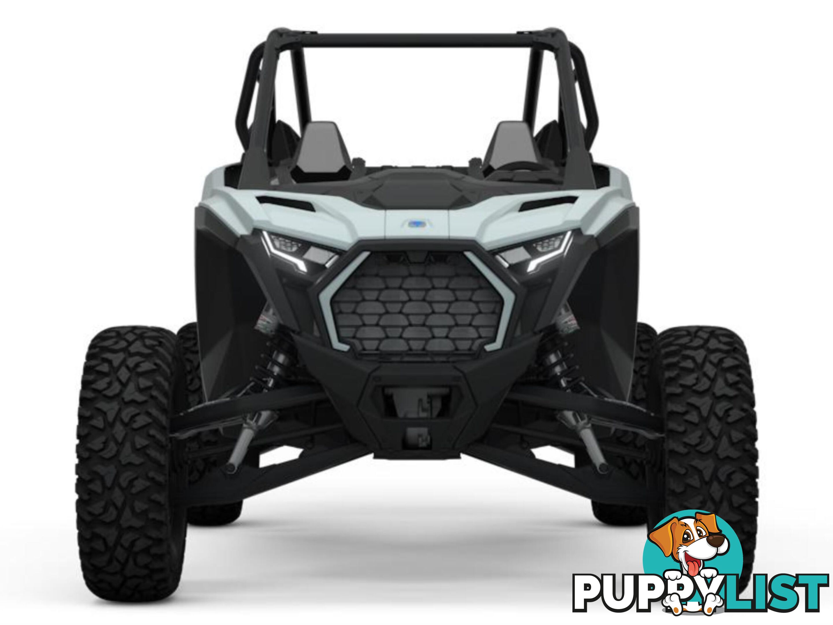 2025 POLARIS RZR PRO S 