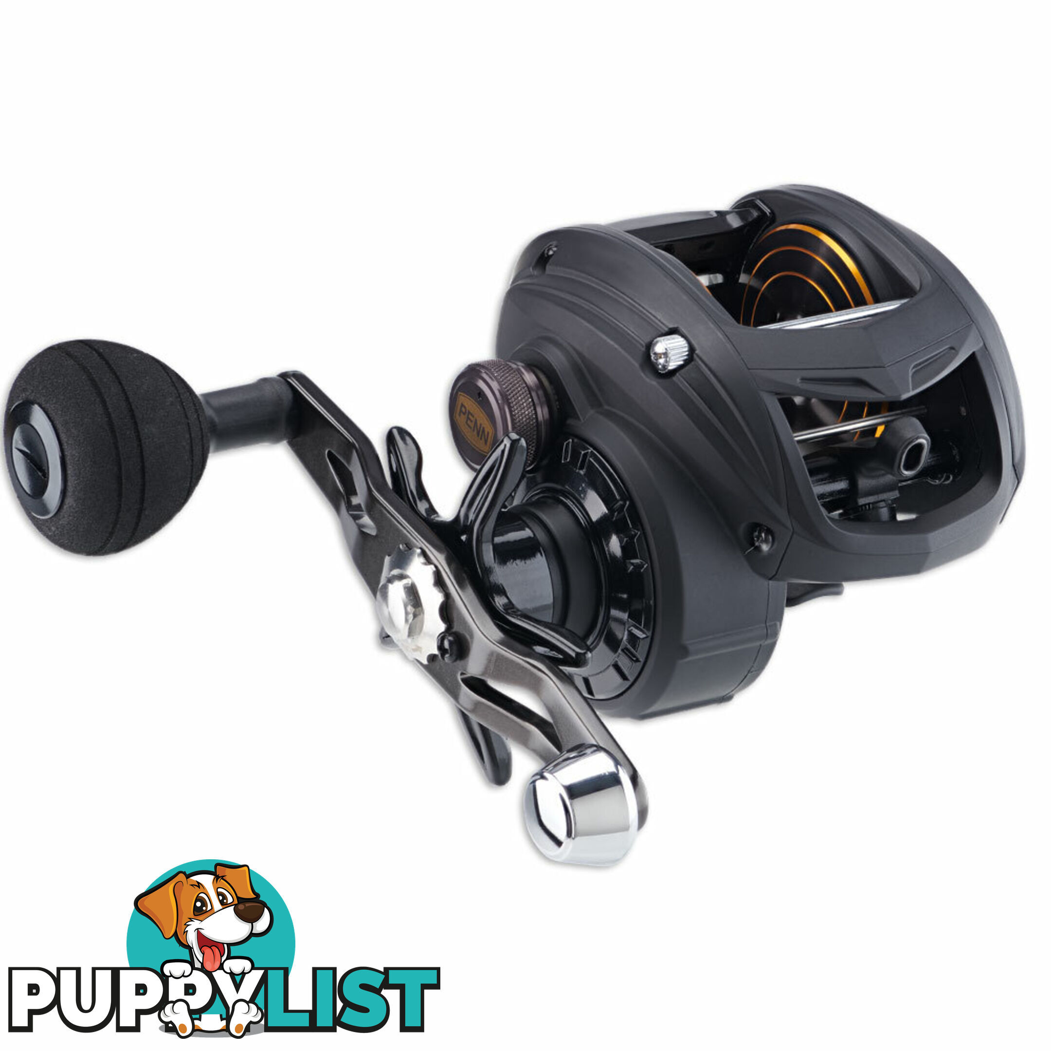 Penn Saltwater Low Profile Baitcaster Reels - PENNLPSW - Penn