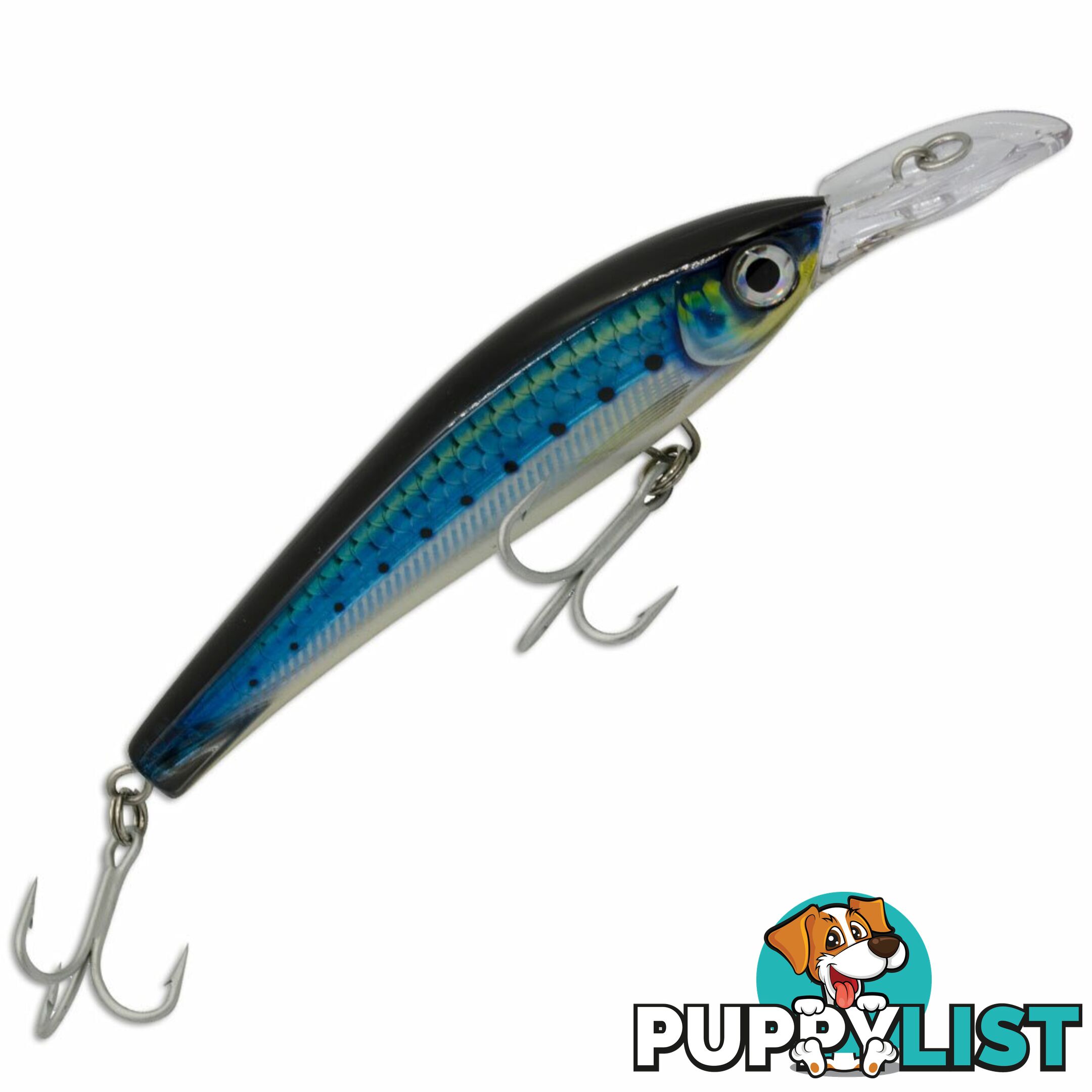 Rapala Xtreme Lures XRAP 160 - XRMAGXT160 - Rapala