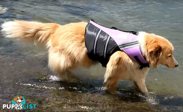 Dog Life Jackets Water Woofer - DFD - Jarvis Walker