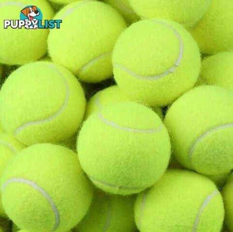 Feed Buddy Tennis Balls 6 pack - Feed Buddy - 5060822570025