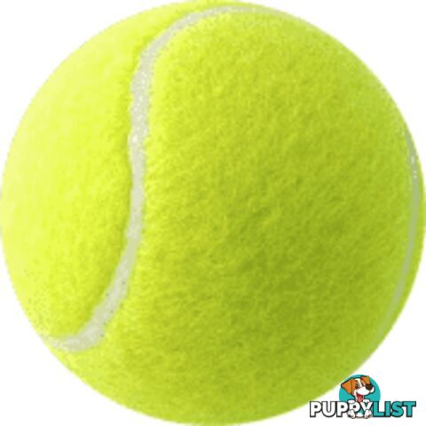 Yonex Assorted 4 Inch Tennis ball - YONEX - 9315392000936