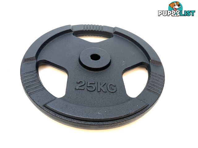 VEO Standard 3 Grip Cast Iron Plate 25KG - VEO